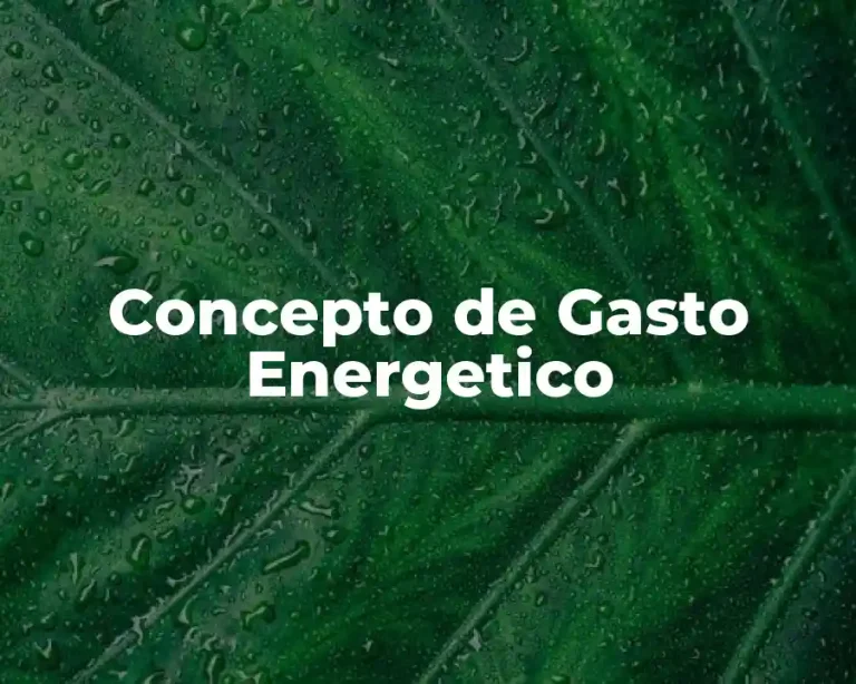 Concepto de Gasto Energetico