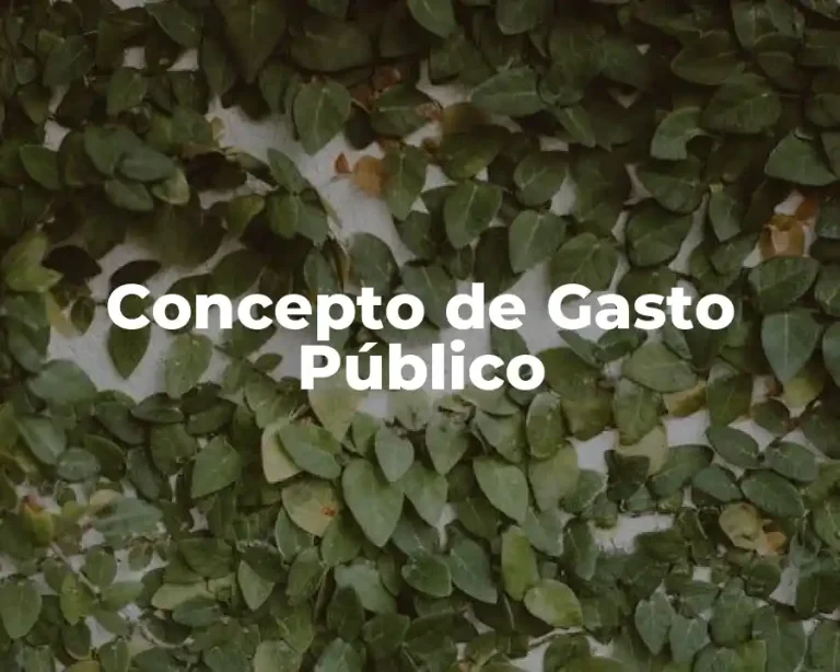 Concepto de Gasto Público
