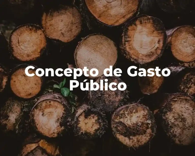 Concepto de Gasto Público