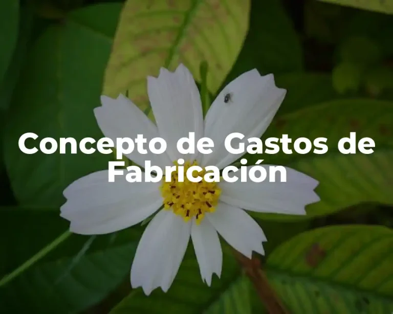 Concepto de Gastos de Fabricación
