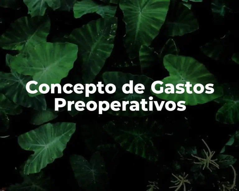 Concepto de Gastos Preoperativos