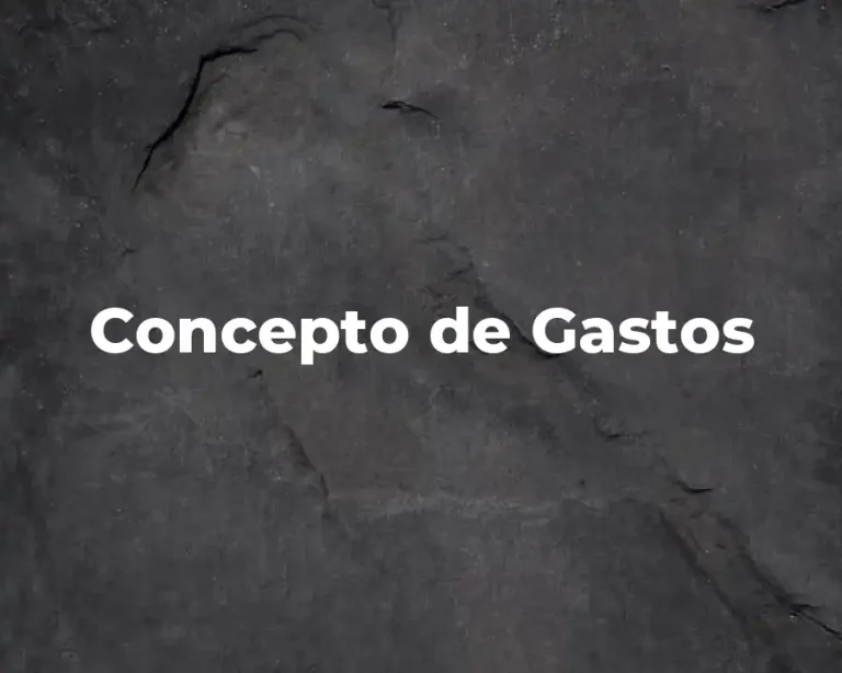 Concepto de Gastos