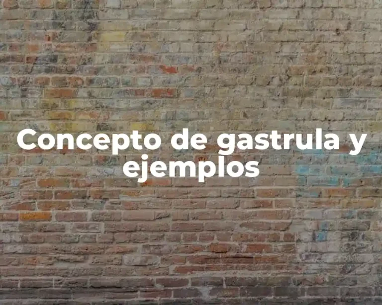 Concepto de gastrula y ejemplos