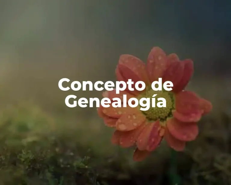 Concepto de Genealogía