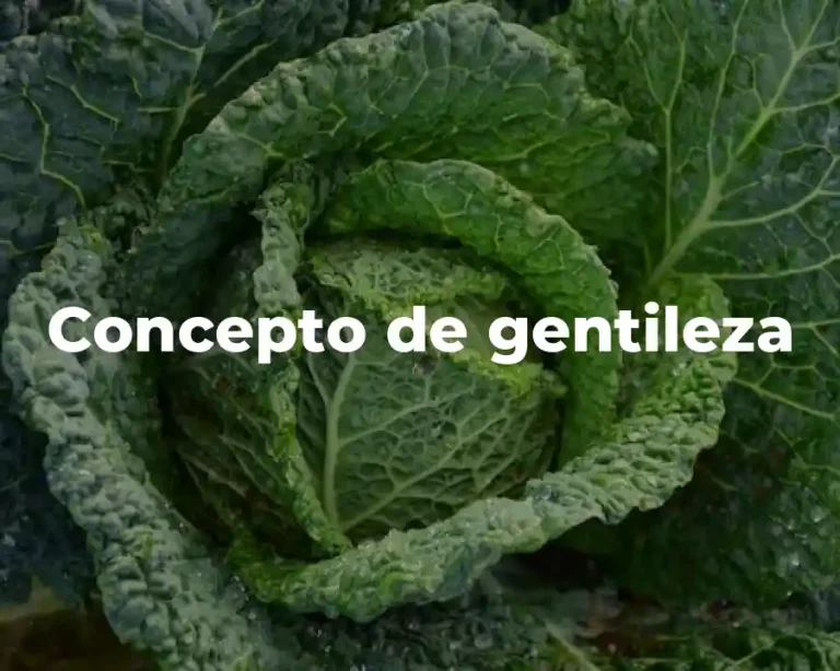 Concepto de gentileza