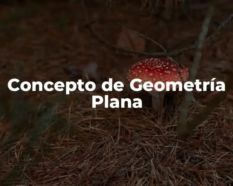 Concepto de Geometría Plana