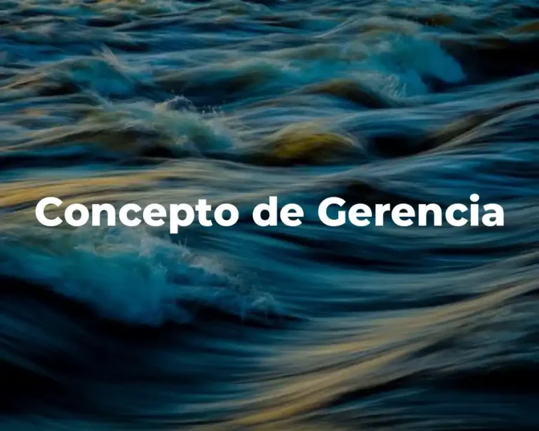 Concepto de Gerencia