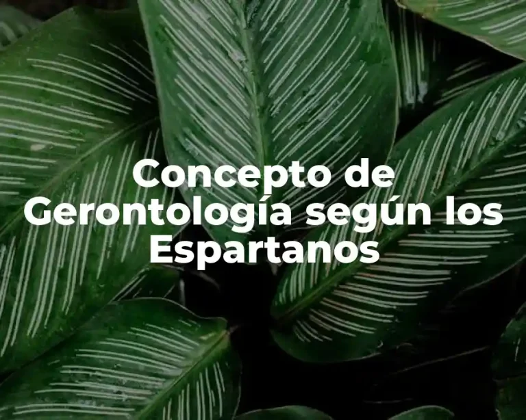 Concepto de Gerontología según los Espartanos
