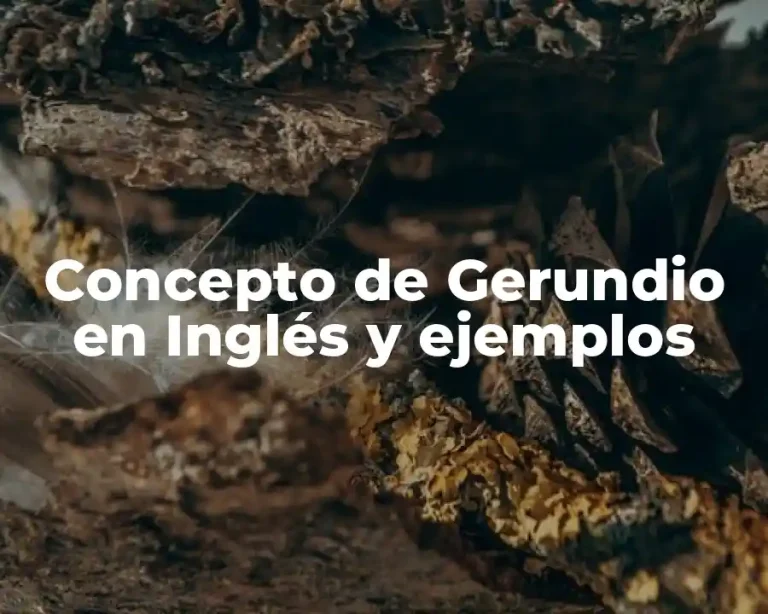 Concepto de Gerundio en Inglés y ejemplos