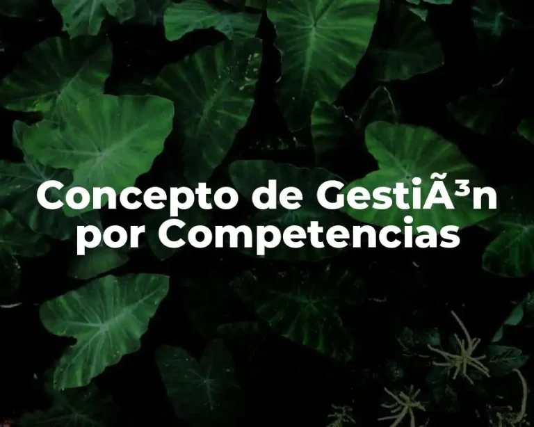 Concepto de GestiÃ³n por Competencias