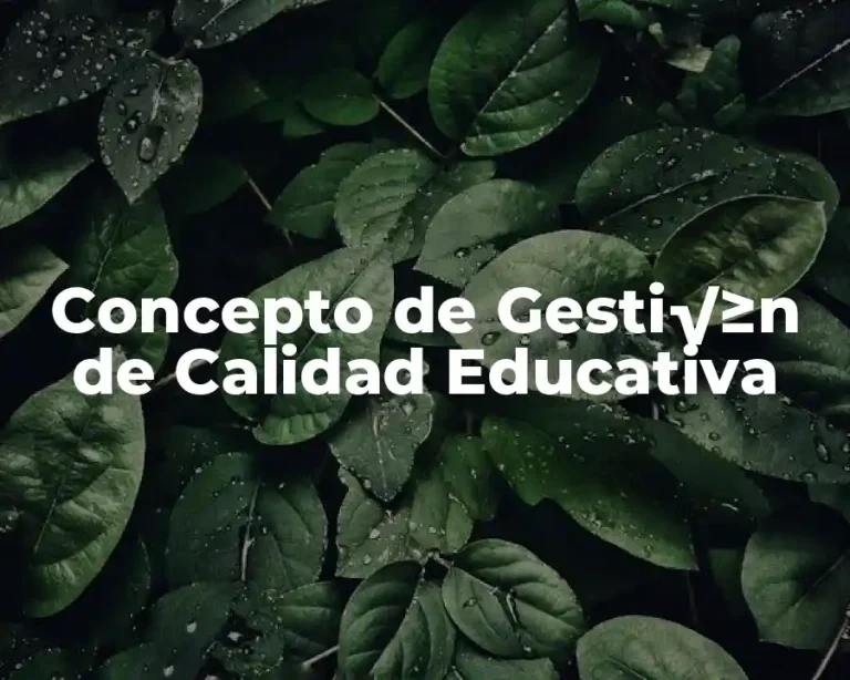 Concepto de Gesti√≥n de Calidad Educativa