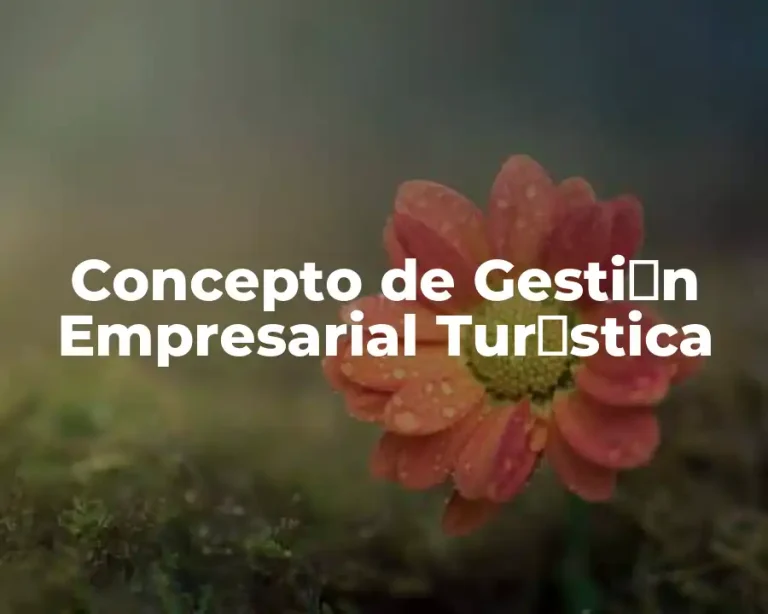 Concepto de Gesti贸n Empresarial Tur铆stica