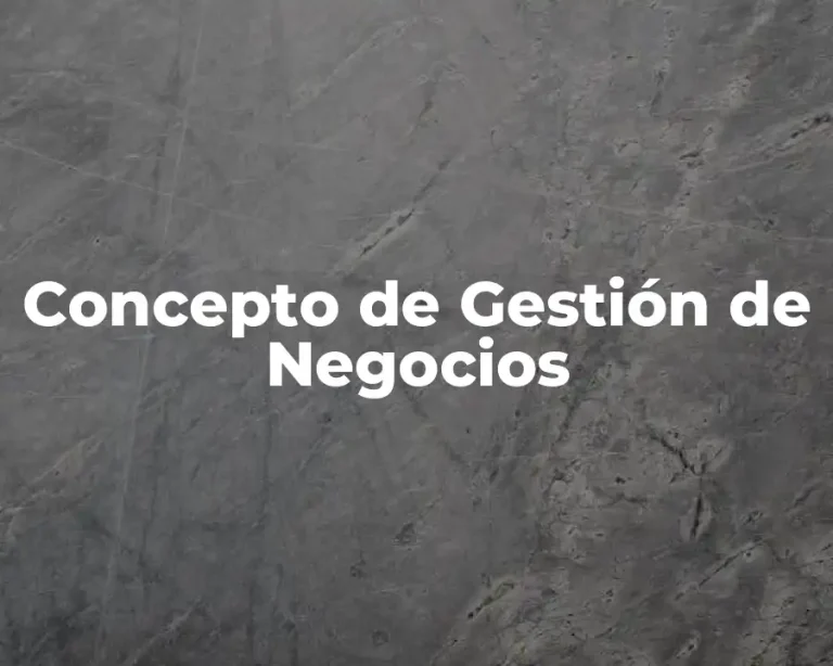 Concepto de Gestión de Negocios