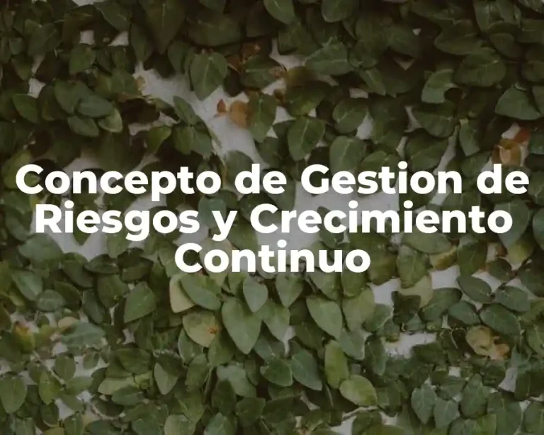 Concepto de Gestion de Riesgos y Crecimiento Continuo