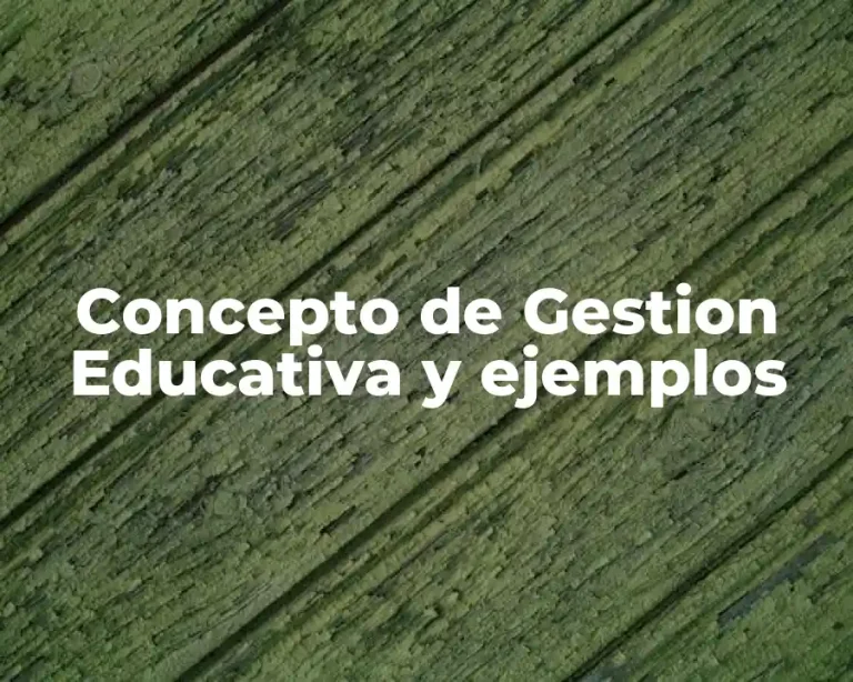 Concepto de Gestion Educativa y ejemplos