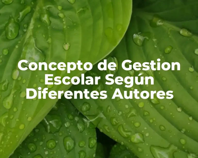 Concepto de Gestion Escolar Según Diferentes Autores