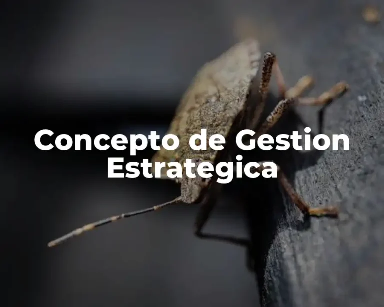 Concepto de Gestion Estrategica