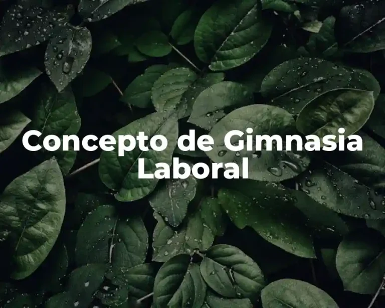 Concepto de Gimnasia Laboral