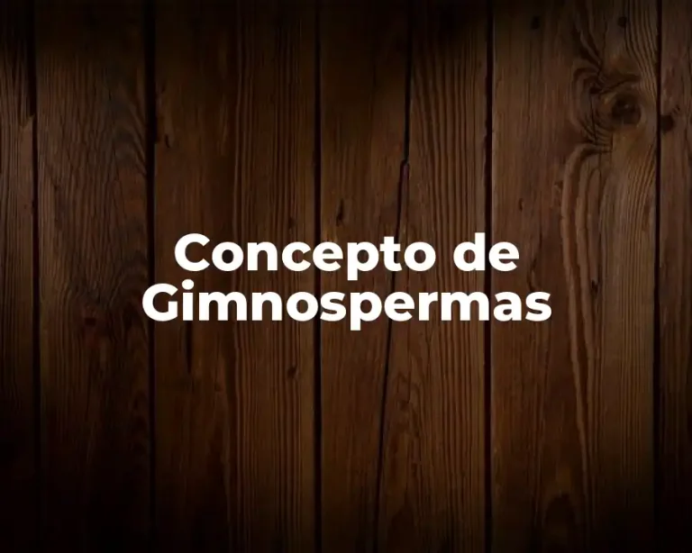 Concepto de Gimnospermas