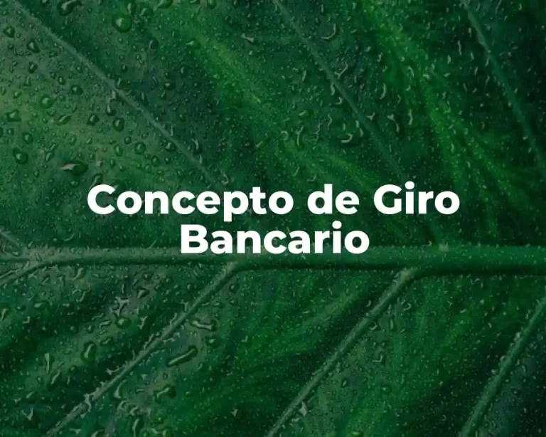 Concepto de Giro Bancario