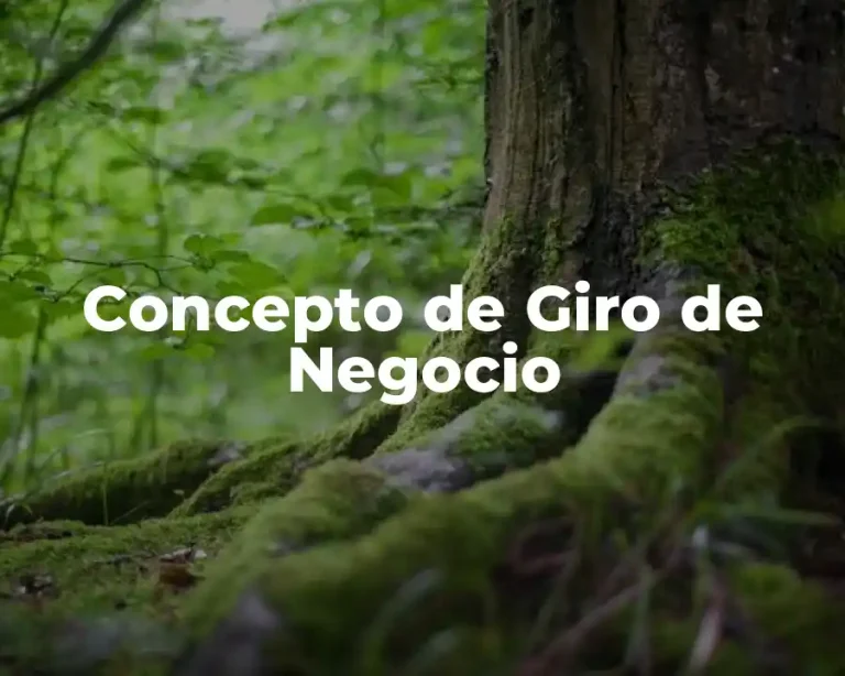 Concepto de Giro de Negocio