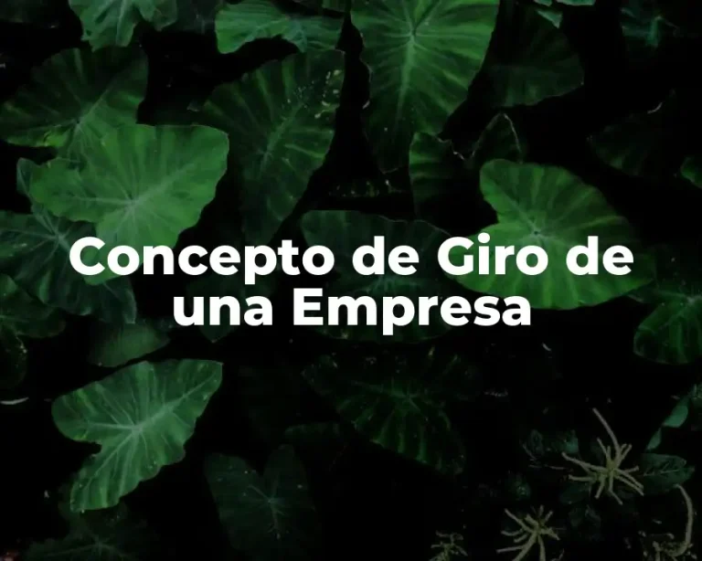 Concepto de Giro de una Empresa