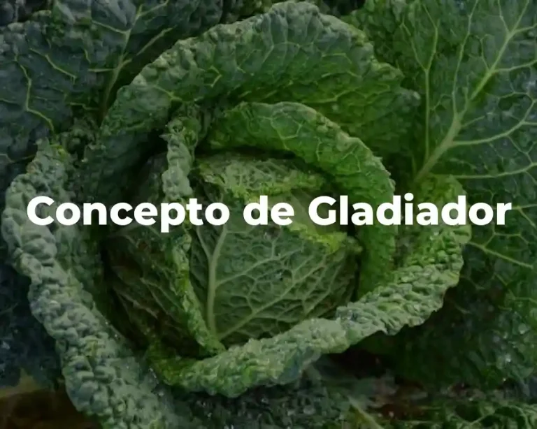Concepto de Gladiador