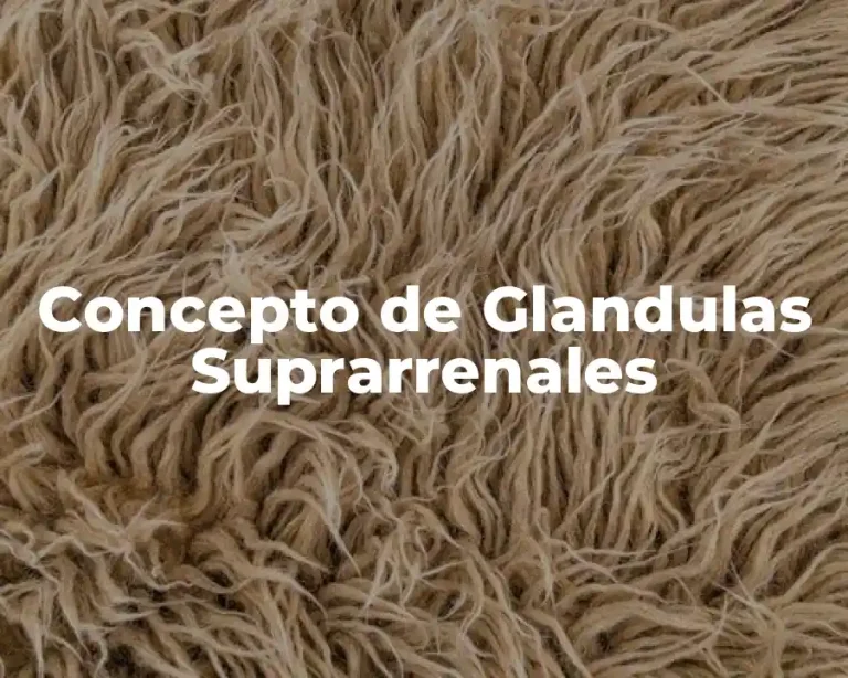 Concepto de Glandulas Suprarrenales