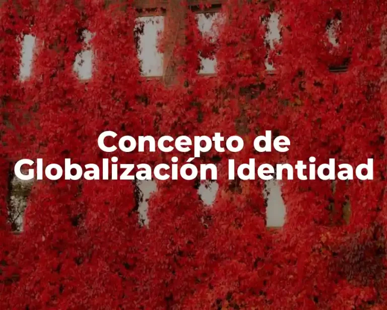 Concepto de Globalización Identidad