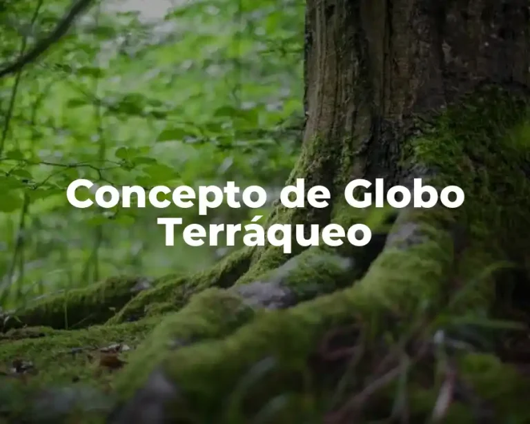 Concepto de Globo Terráqueo