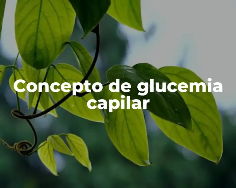 Concepto de glucemia capilar