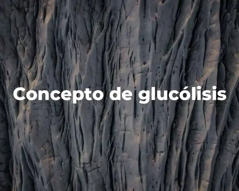 Concepto de glucólisis