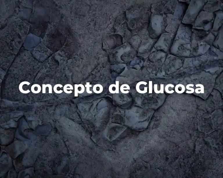 Concepto de Glucosa