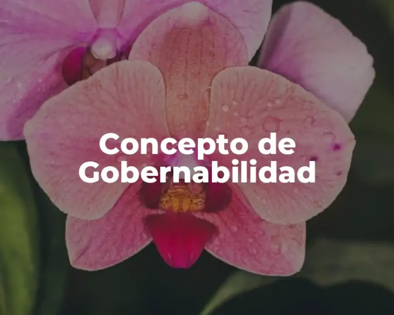 Concepto de Gobernabilidad