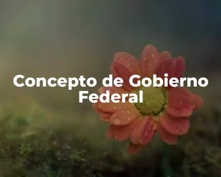 Concepto de Gobierno Federal