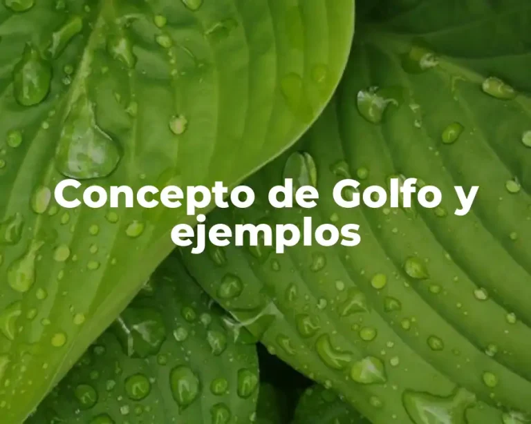 Concepto de Golfo y ejemplos