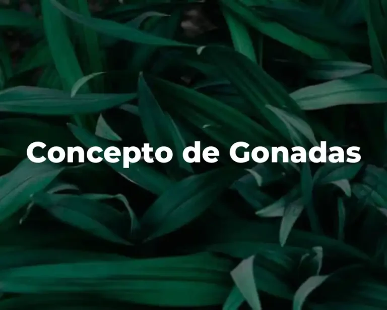 Concepto de Gonadas