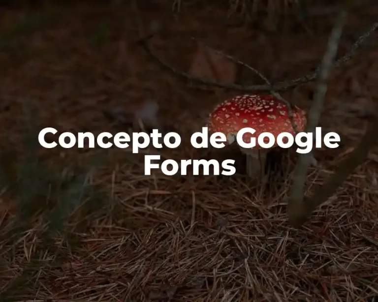 Concepto de Google Forms