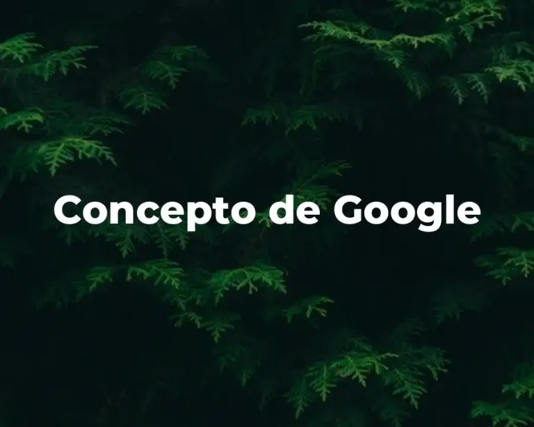 Concepto de Google