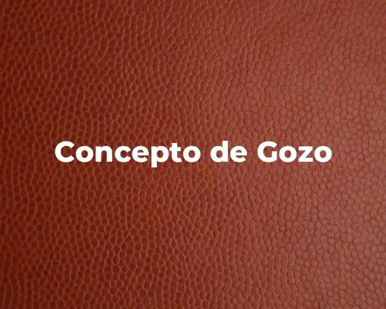 Concepto de Gozo