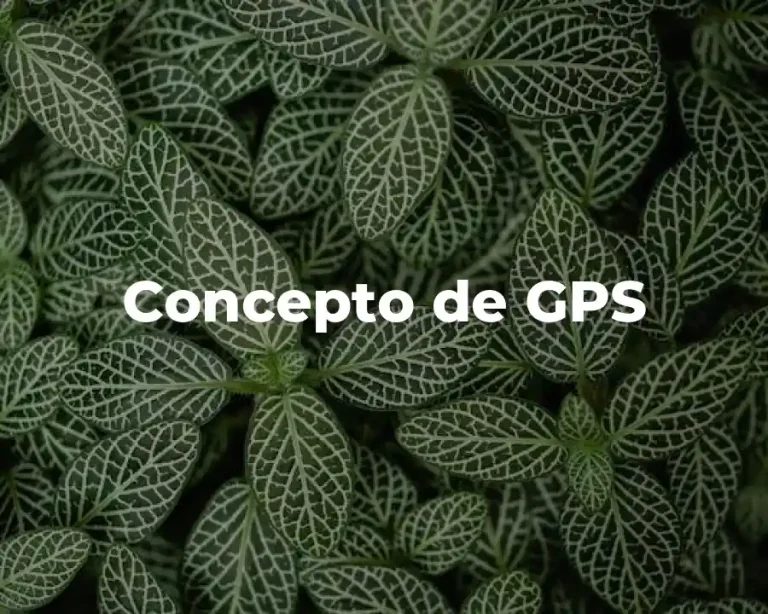 Concepto de GPS