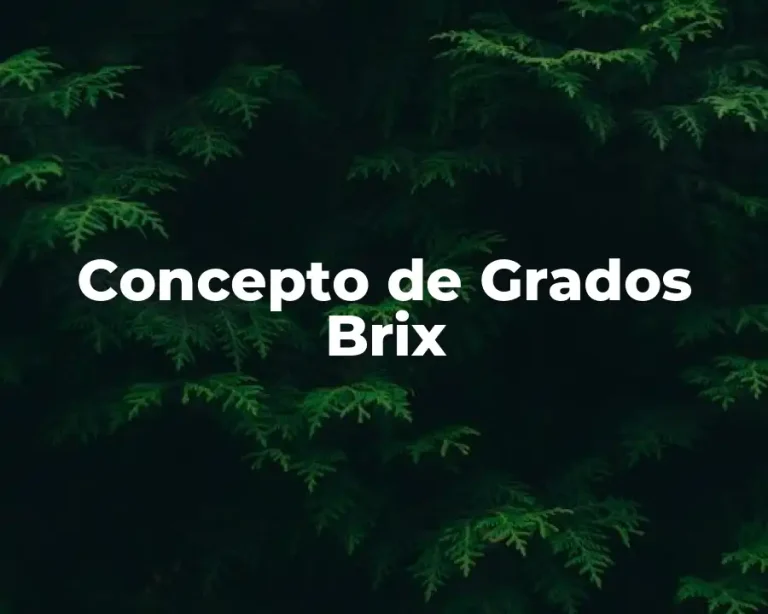 Concepto de Grados Brix