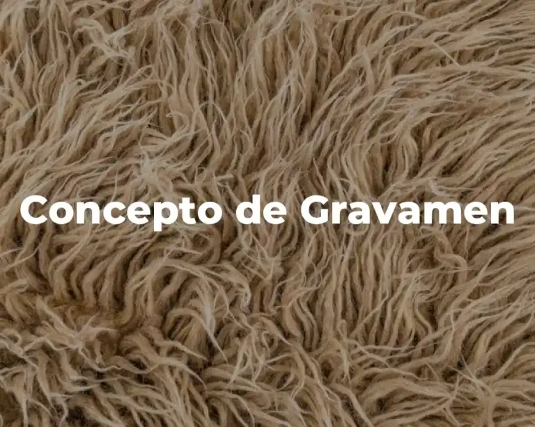 Concepto de Gravamen