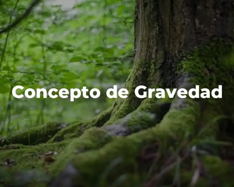 Concepto de Gravedad