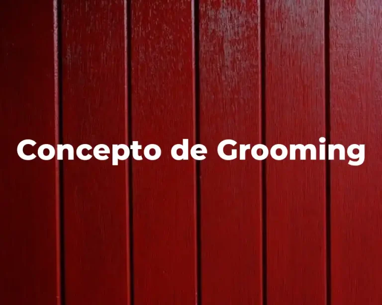 Concepto de Grooming