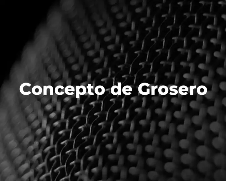 Concepto de Grosero