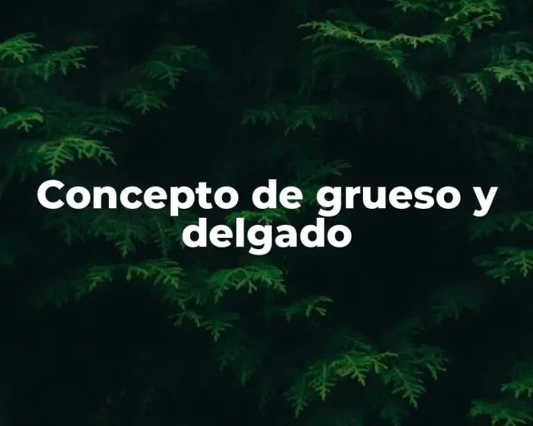 Concepto de grueso y delgado