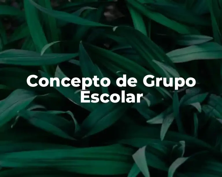 Concepto de Grupo Escolar