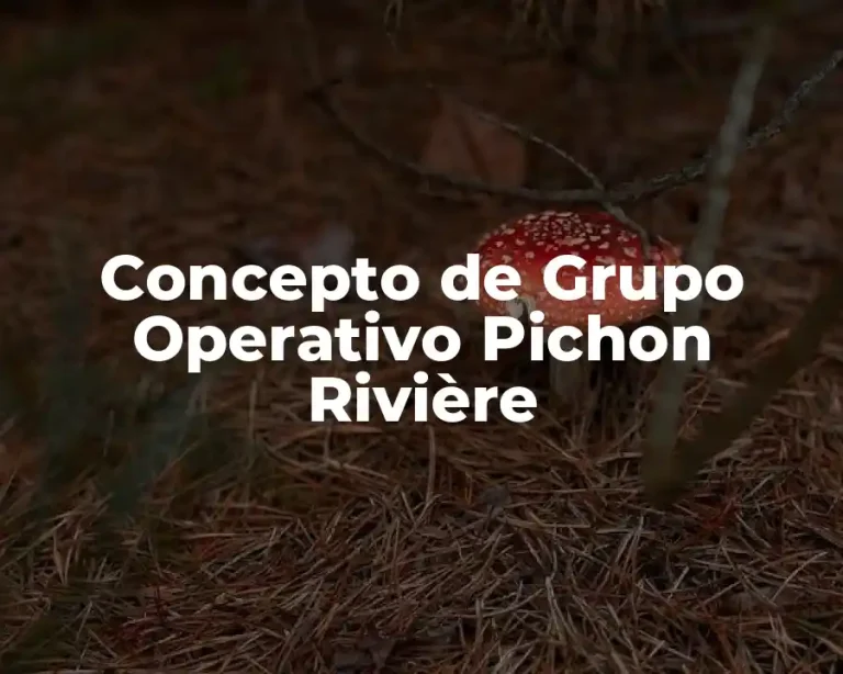 Concepto de Grupo Operativo Pichon Rivière