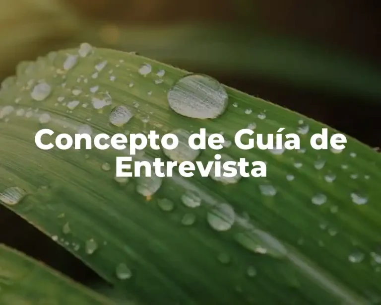 Concepto de Guía de Entrevista